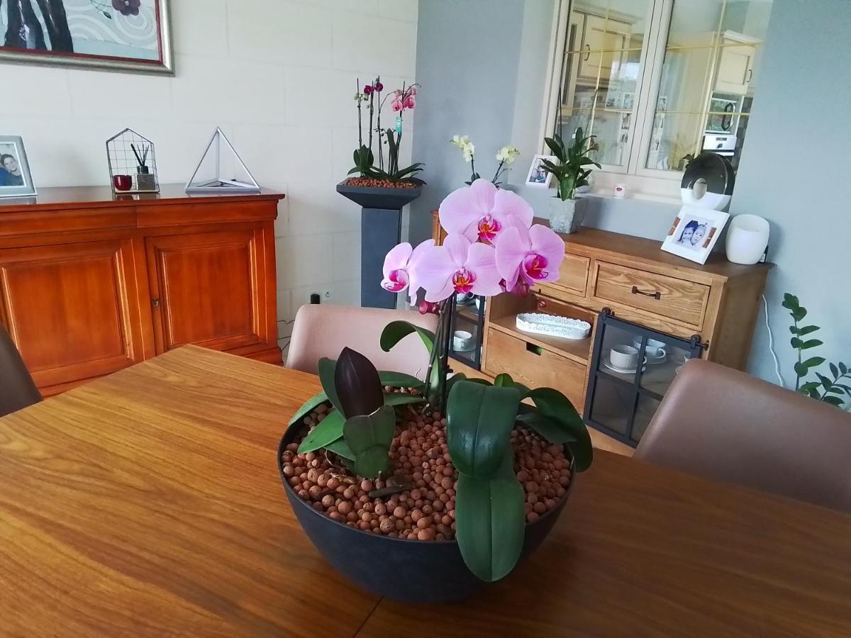 Apartament Au Detour Des Orchidees Artannes-sur-Indre Zewnętrze zdjęcie